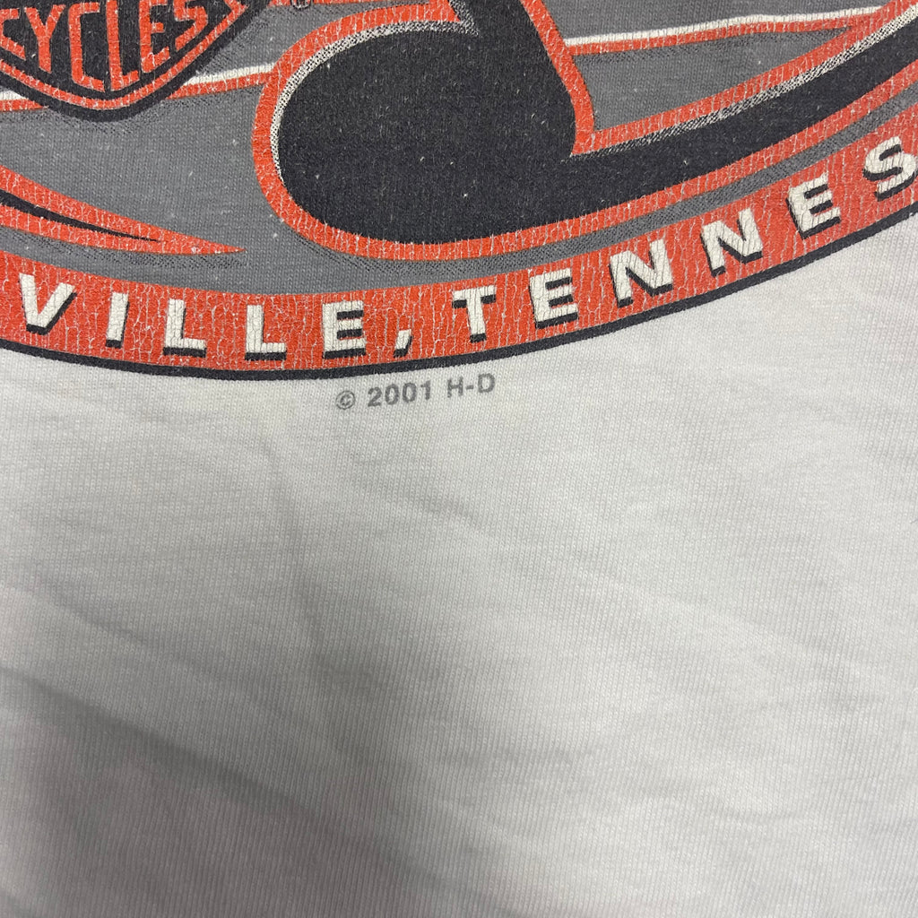 Vintage and Distressed Harley Davidson Long-Sleeve